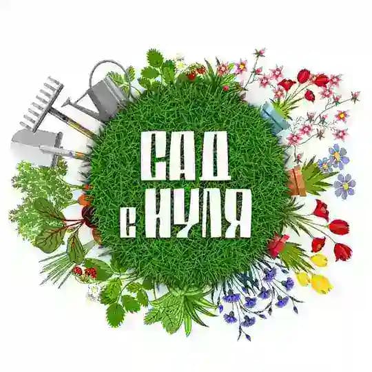 САД С НУЛЯ | Оксана Пискарёва