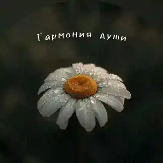 Гармония души | психология, мысли , мотивация 🕊