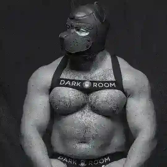 GB Puppy 18+