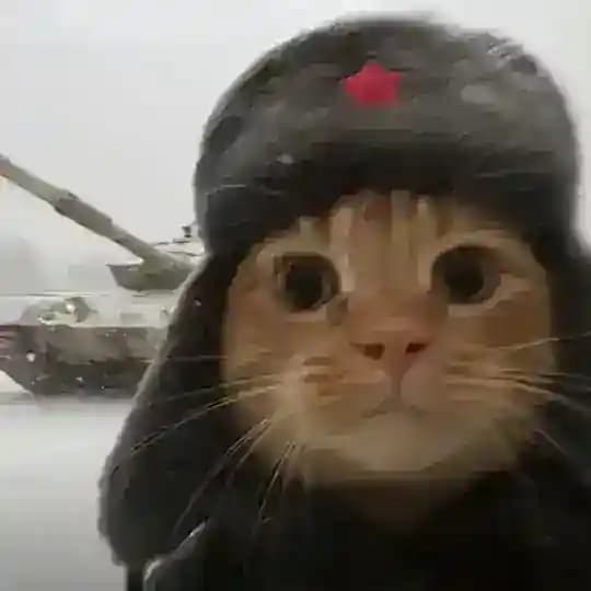 梦中的世界
