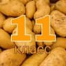 11 КЛАСС (РБ) РЕШЕНИЕ САМОСТОЯТЕЛЬНЫХ📚