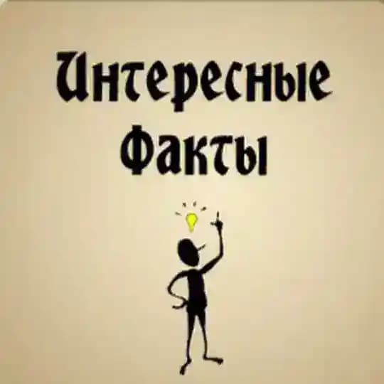 Интересные Факты