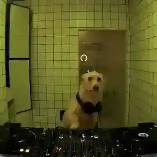 География Шума