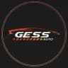GESS AUTO