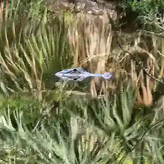 Living Naturally Profile