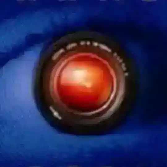 GF video 24