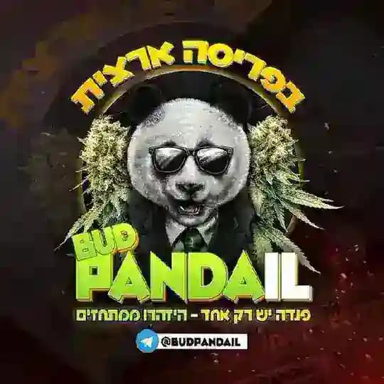 הפנדה פנדה התפריט תפריט Profile