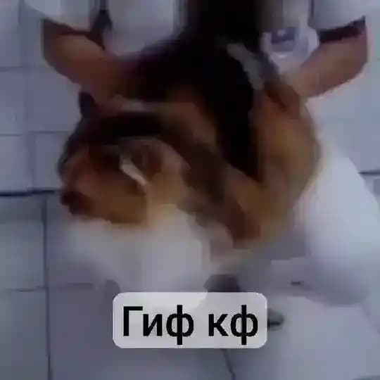 [Набор в админы]GIF confession >< #гифКф