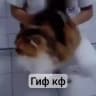 [Набор в админы]GIF confession >< #гифКф