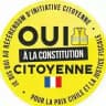 Gilets jaunes constituants
