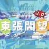 東張西望 2.0