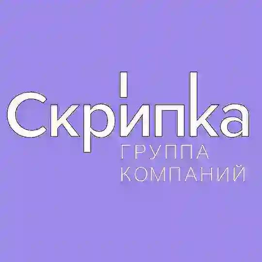 Скрипка