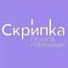 Скрипка
