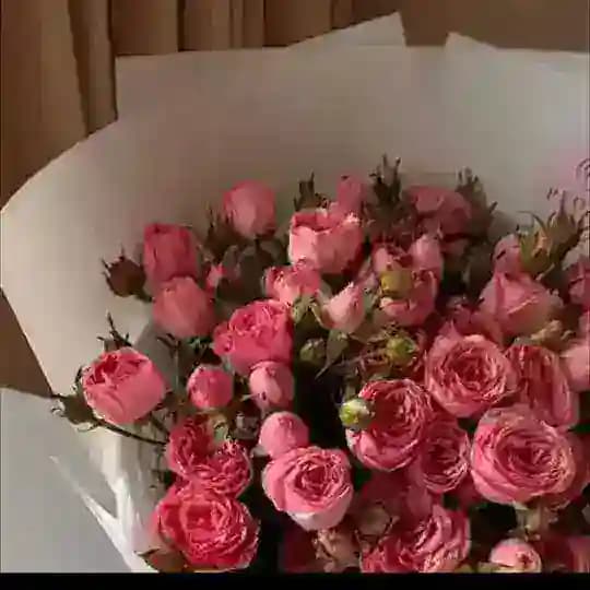 سارا علي إكسبرس + DHgate💕.