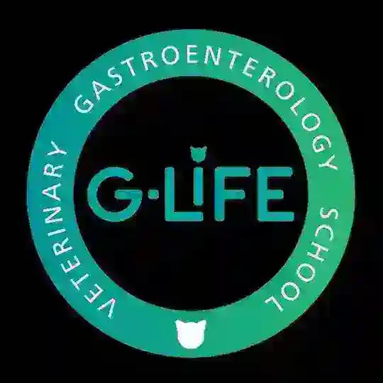 G-life 🦥