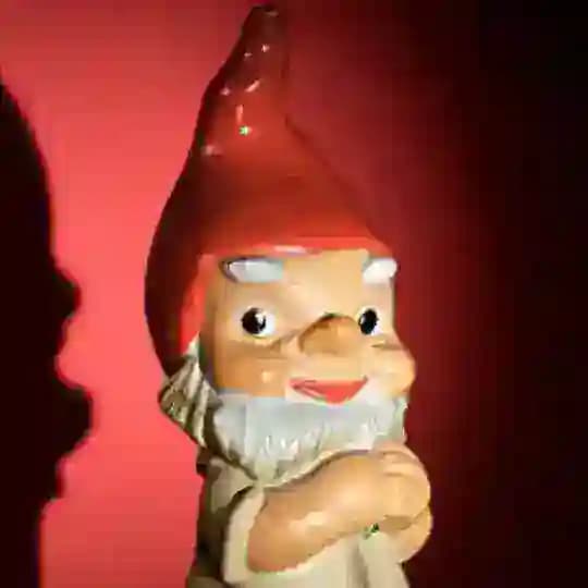 GNOME CONSERVATISM