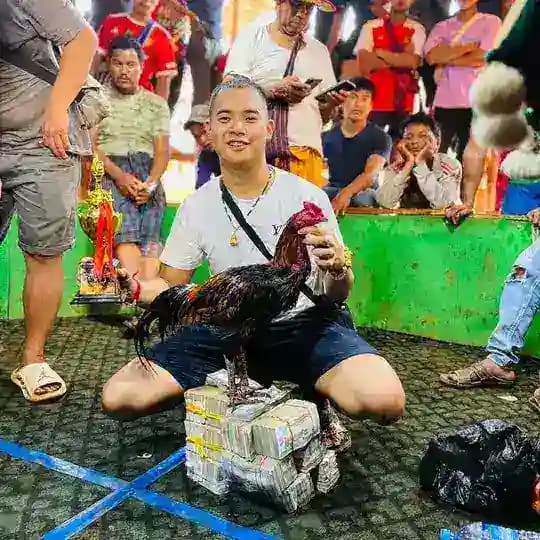 ရွှေနဂါးတိုက်ကြက်ခြံ🐲💎🐉