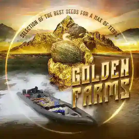 🇲🇦⚜️GOLDEN FARMS⚜️🇲🇦