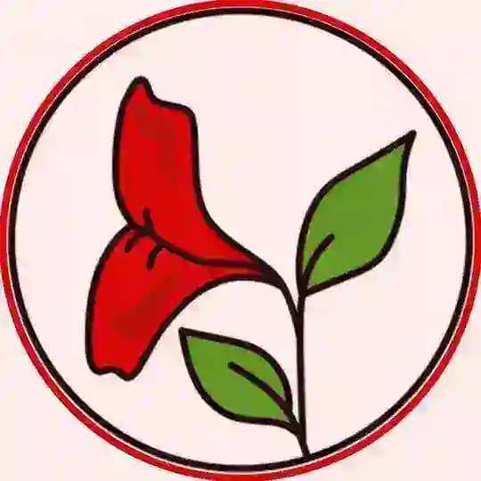 [ گُل فَرمایش کَردی ]