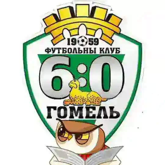 «GOMEL CITY»💚