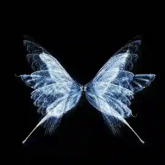 i music 🦋