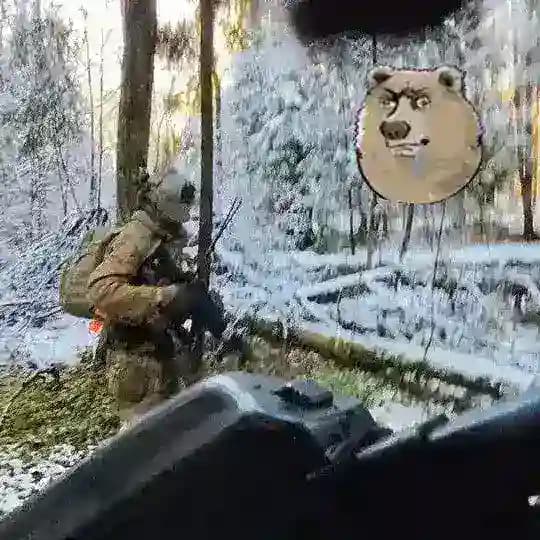 Гол и Гойда