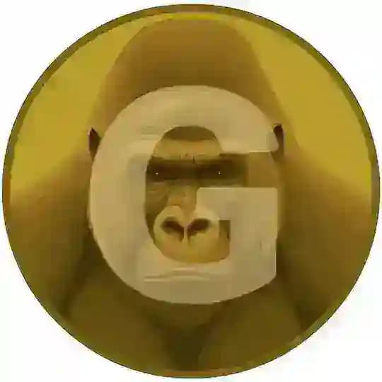 Gorilla CTO PORTAL