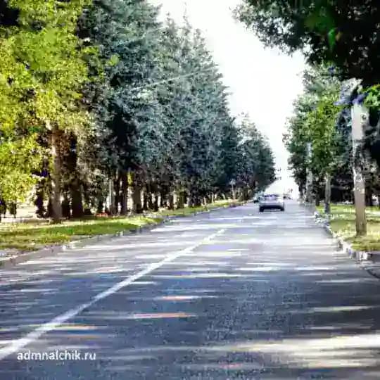 Зеленый Нальчик | Общественное Движение