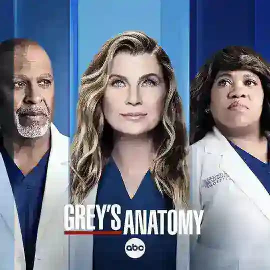 Grey's Anatomy | FanatoMy Team