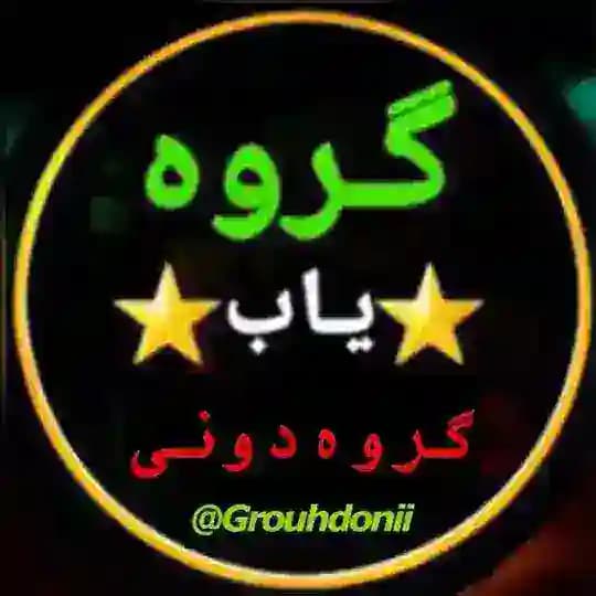 🏅 گروه دونی گروه یاب
