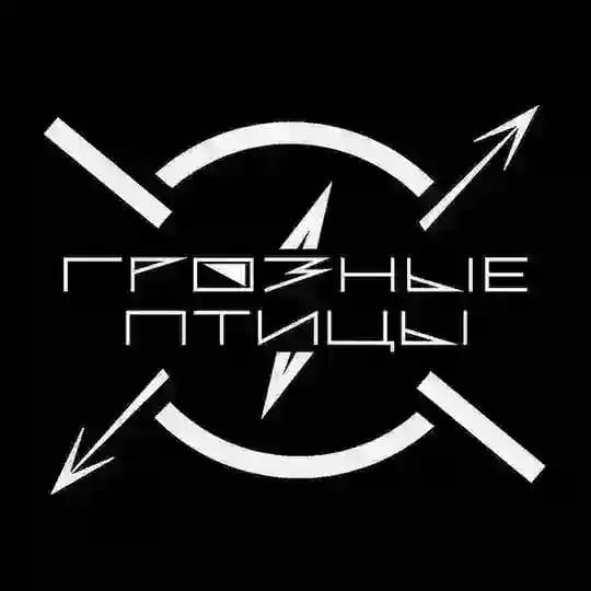 Грозные⚡️Птицы