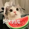 观天下爱吃瓜