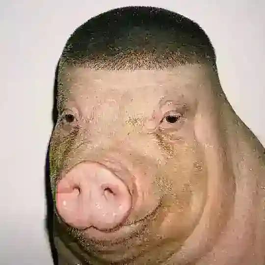 被遗忘的海