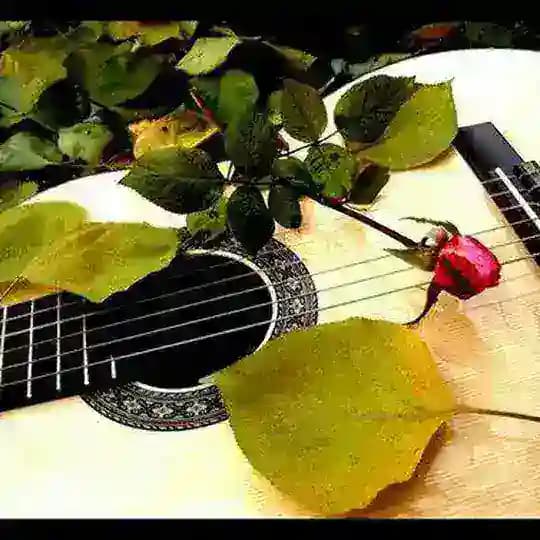 زنگ خور Profile