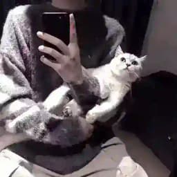 股民水军/台湾/日本/韩国/美国/专业户 Profile