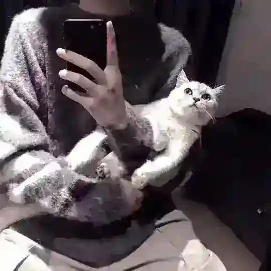 股民水军/台湾/日本/韩国/美国/专业户 Profile