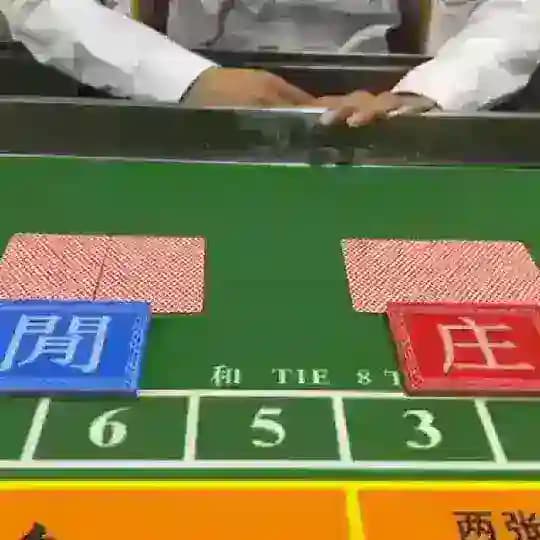 腾龙在线客服 缅甸博彩平台 韩国女星 调教母狗