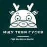 Ищу тебя Гусев