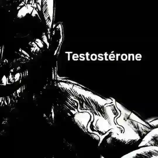𝚃𝙴𝚂𝚃𝙾𝚂𝚃𝙴𝚁𝙾𝙽𝙴💊