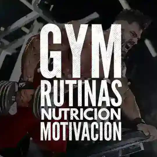 🟡🔴 🏋🏻‍♂ GYM 💪🏻 PRO 🏋🏻‍♀️ 🔴🟡 Profile