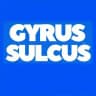 Gyrus Sulcus