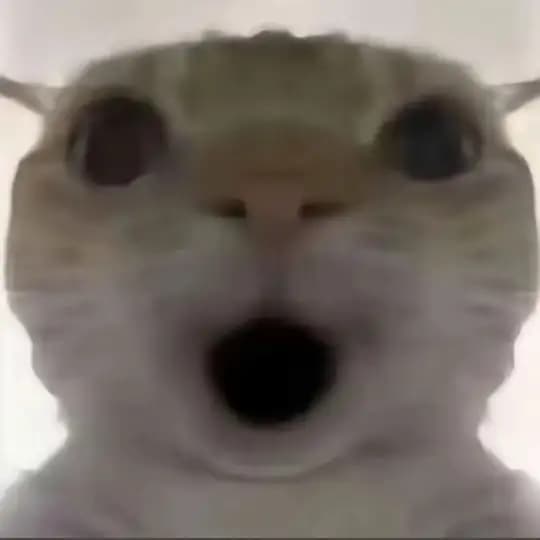 诀焚（淫巧）