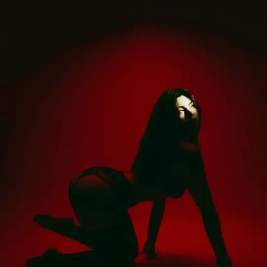 Bambi wesib videos