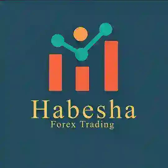 Habesha tip Profile