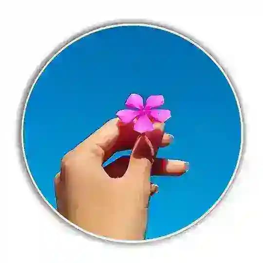 Habesha ወwesib