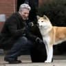 Hachiko a dog's story