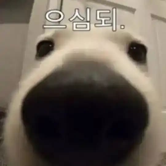 [임해인] 미국주식/자산배분