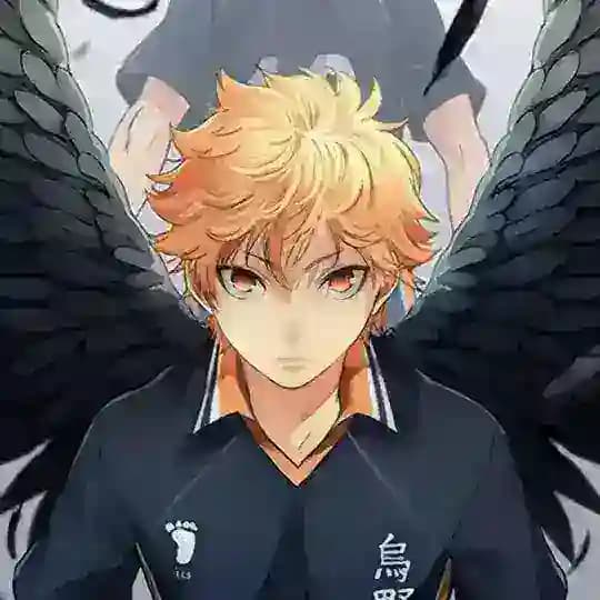 Haikyuu anime tamil Profile
