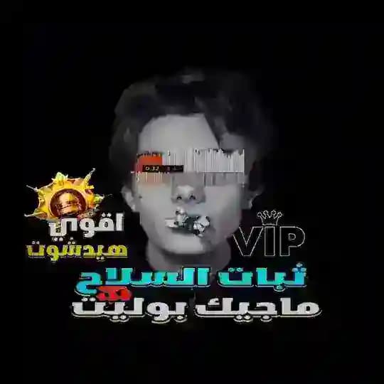 👑مـلـفات لــيــون 👑