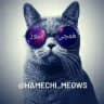 هَمِچی میوز | Hamechi meows